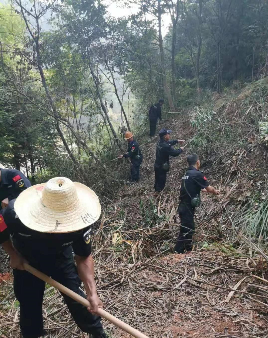 干好每一天|青山掛白我復(fù)綠，無私奉獻(xiàn)金森人——資源保護(hù)部義務(wù)突擊隊(duì)工作記實(shí)