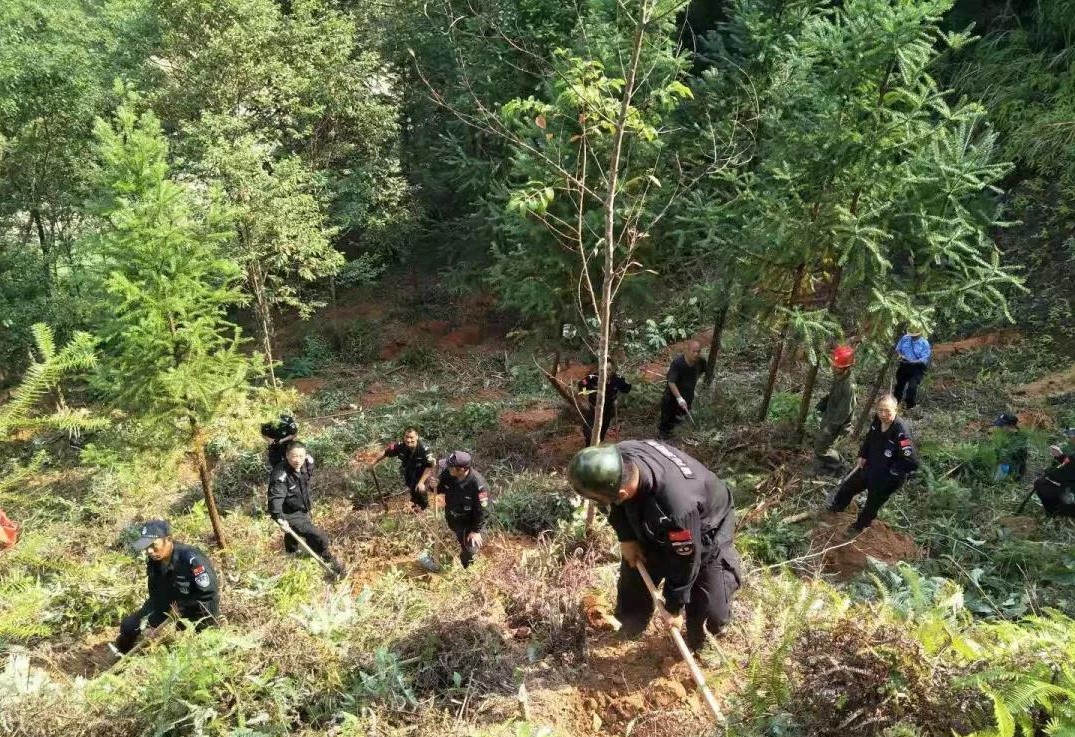 干好每一天|青山掛白我復(fù)綠，無私奉獻(xiàn)金森人——資源保護(hù)部義務(wù)突擊隊(duì)工作記實(shí)