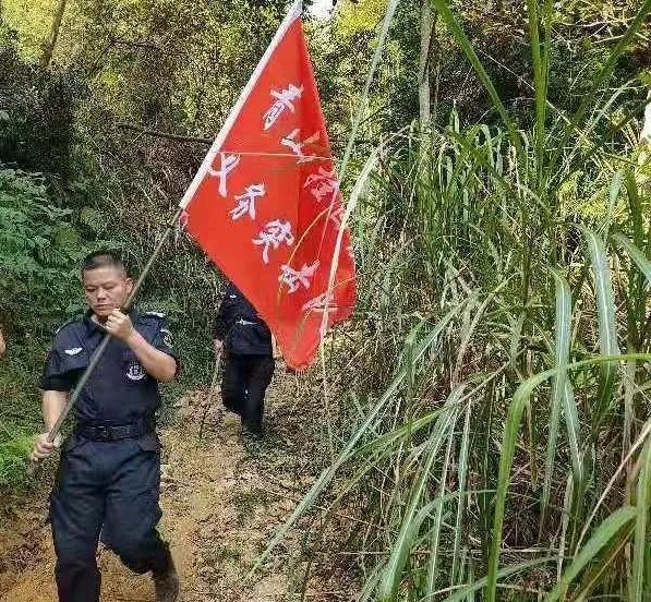 干好每一天|青山掛白我復(fù)綠，無私奉獻(xiàn)金森人——資源保護(hù)部義務(wù)突擊隊(duì)工作記實(shí)